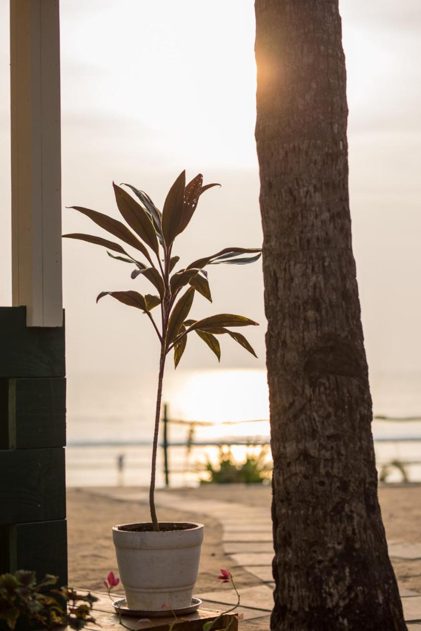 Nest Cottages Canacona Bagian luar foto
